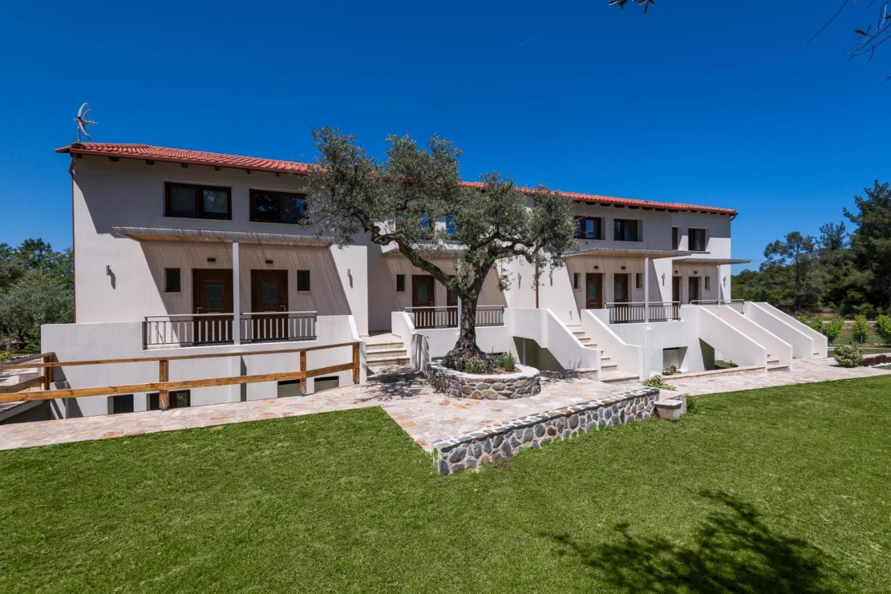 Dionysus Apartments & Suites Ierissós Zewnętrze zdjęcie