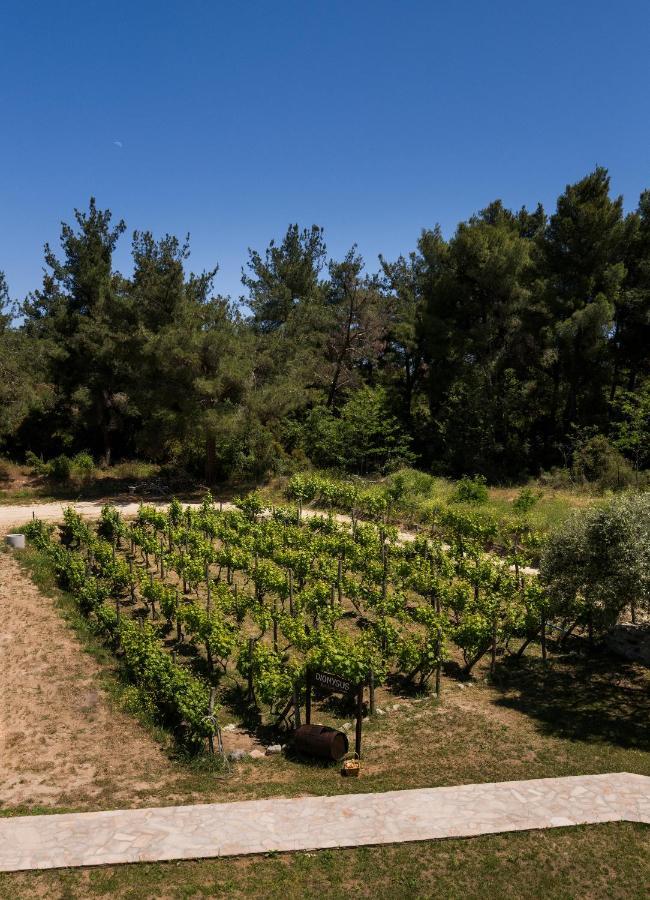 Dionysus Apartments & Suites Ierissós Zewnętrze zdjęcie