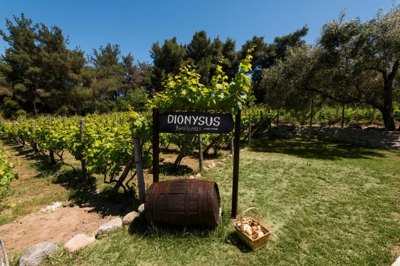 Dionysus Apartments & Suites Ierissós Zewnętrze zdjęcie