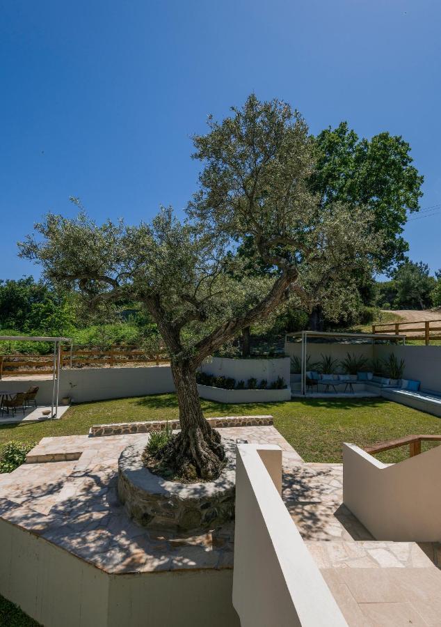 Dionysus Apartments & Suites Ierissós Zewnętrze zdjęcie