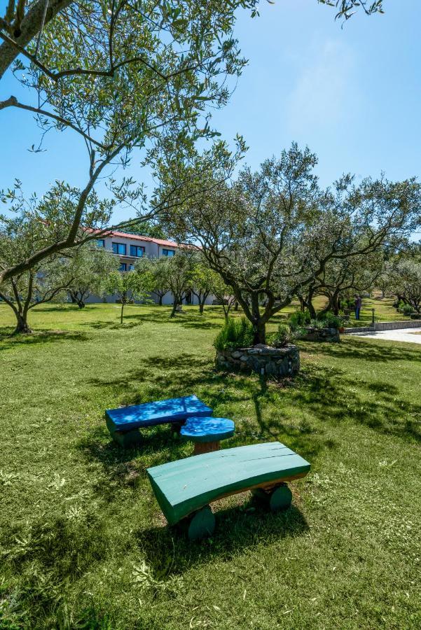 Dionysus Apartments & Suites Ierissós Zewnętrze zdjęcie