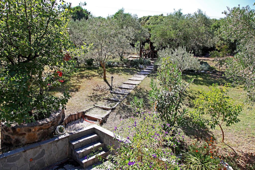 Dionysus Apartments & Suites Ierissós Zewnętrze zdjęcie