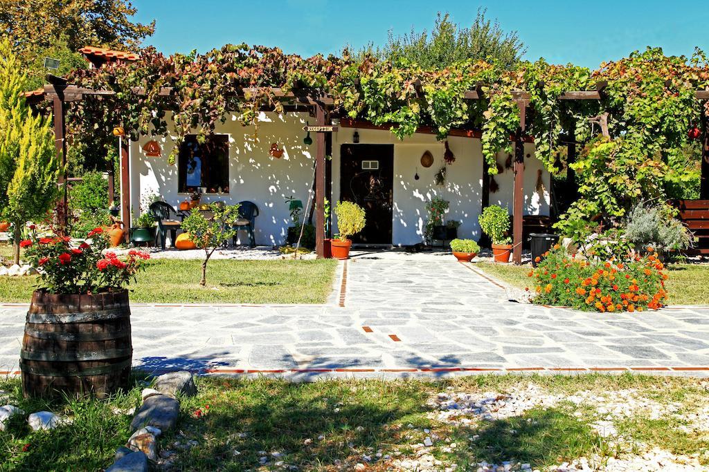 Dionysus Apartments & Suites Ierissós Zewnętrze zdjęcie