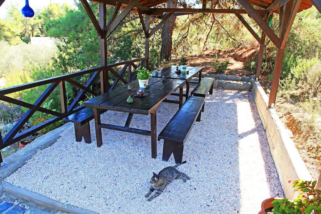 Dionysus Apartments & Suites Ierissós Zewnętrze zdjęcie