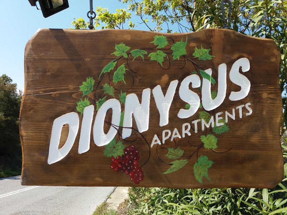 Dionysus Apartments & Suites Ierissós Zewnętrze zdjęcie