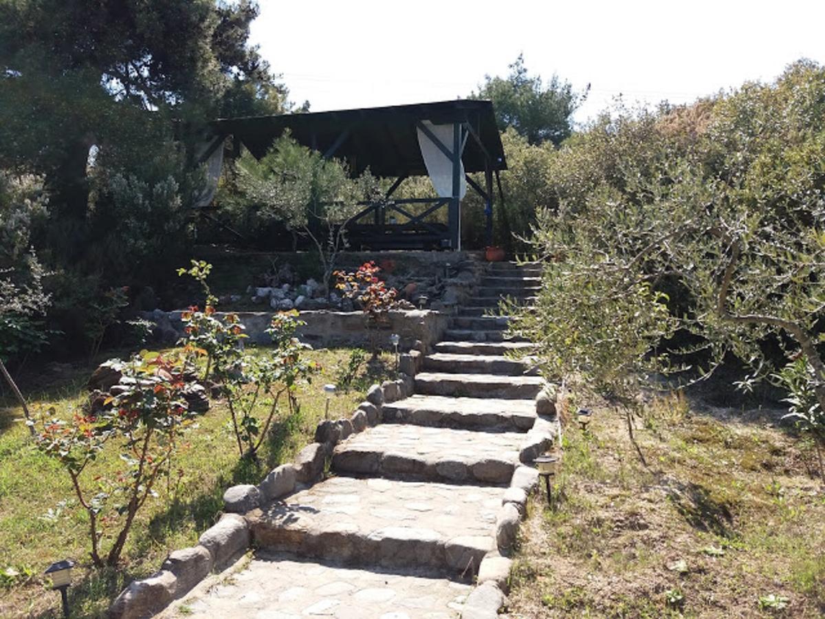 Dionysus Apartments & Suites Ierissós Zewnętrze zdjęcie